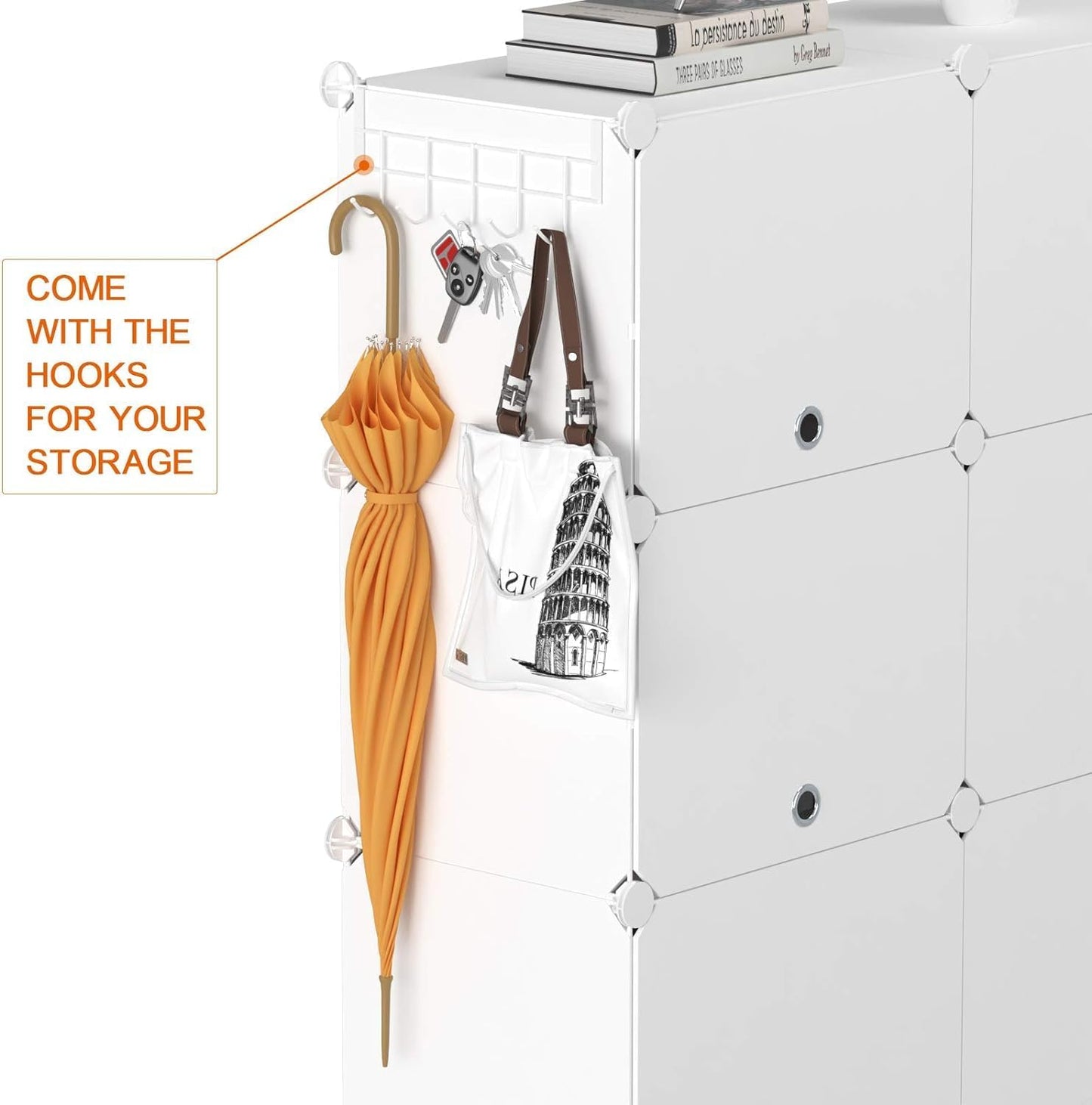 Shoe Storage Cabinet with Door Expandable