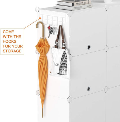 Shoe Storage Cabinet with Door Expandable